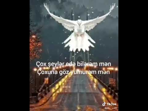 Video: Gecəniz xeyrə qalsın diləyirəm ayədə kişiyə