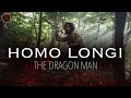 Homo longi the dragon man  prehistoric humans documentary
