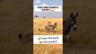 ودفت الضباع لاعند الحمار                              سمعها