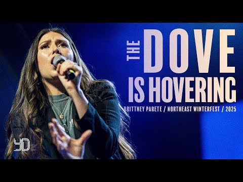 The Dove is