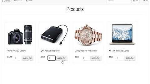 Bambora Custom Checkout Ecommerce website