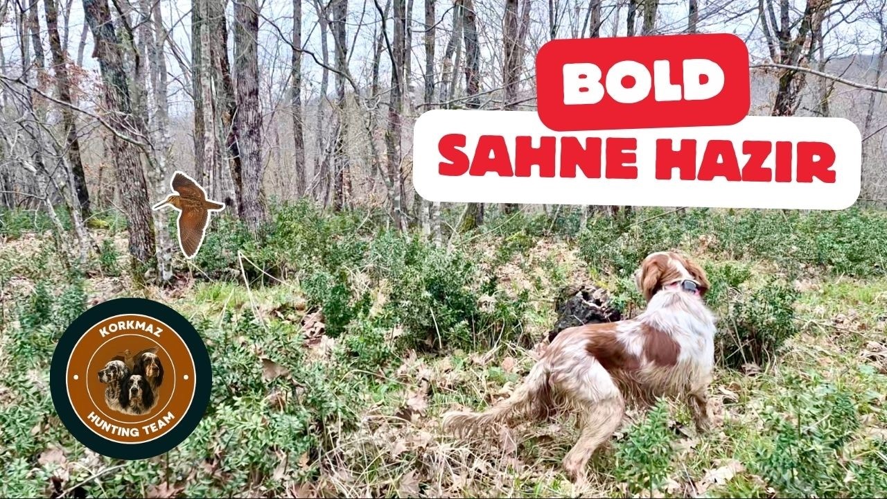 Çulluk Avı  Trakya Woodcock