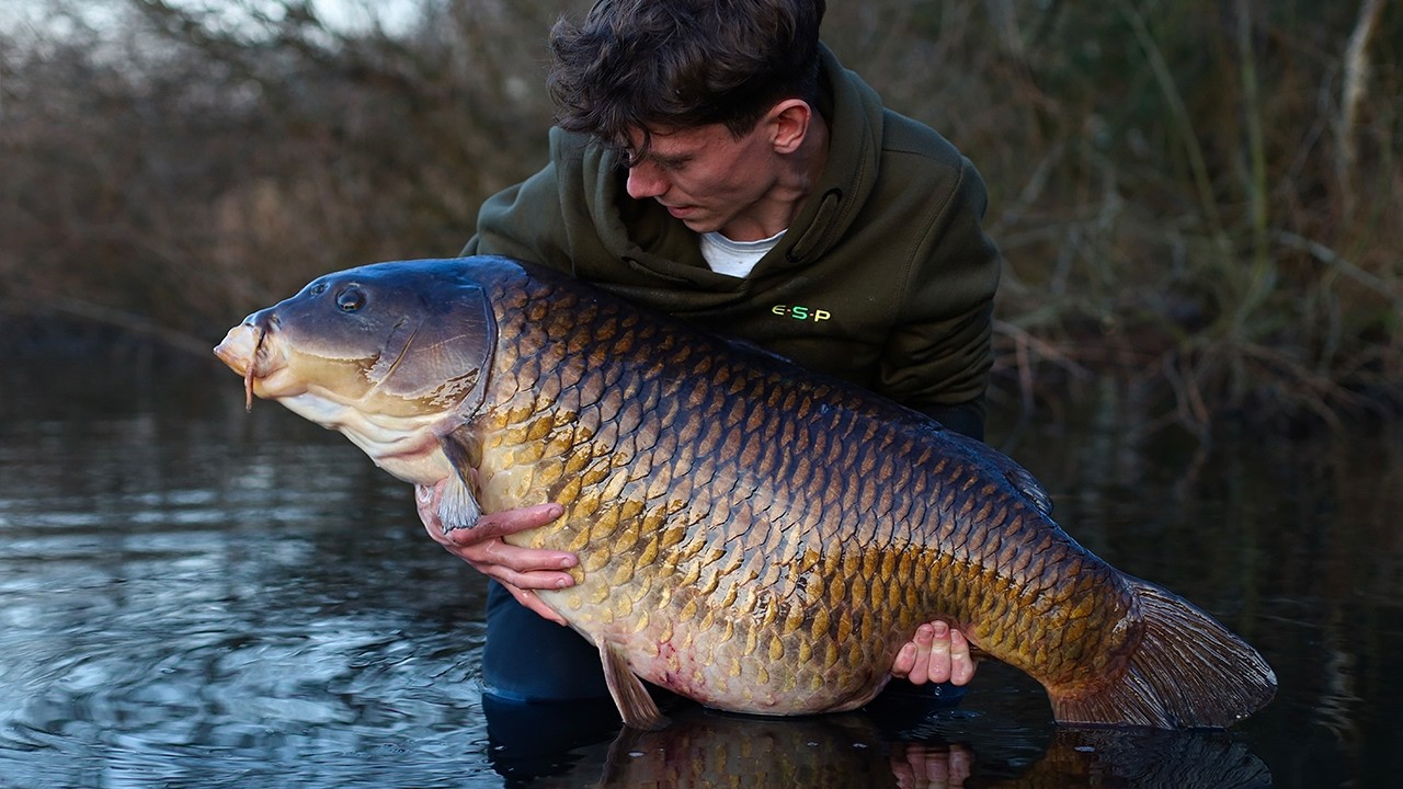 Spring CARP fishing - how to prepare fishing tackle - YouTube