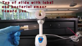 How to Heat Fİx a Microscope Slide