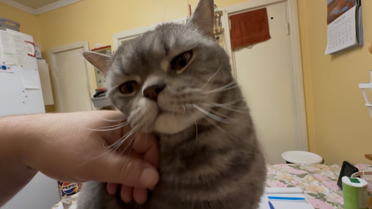 Iso kiitos.Ensilumi ja Hilma olikin vanhempi kun luulin..