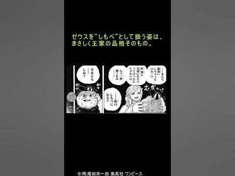 ナミ王女説 ワンピース ナミはヴィラ国の王女 Shorts Youtube
