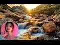 Захватывающие звуки для релаксации