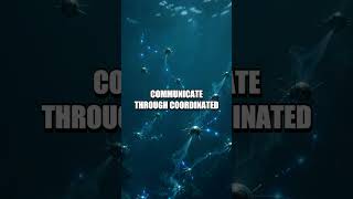 Bioluminescent Micro-Robots and the Ocean Cleanup Frontier
