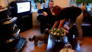 Marco Tc - The Making Of, Hoe Zit Het Met Jou, Nou??