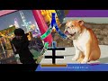 おはようございます - 人生をやりすごす [MUSIC VIDEO]