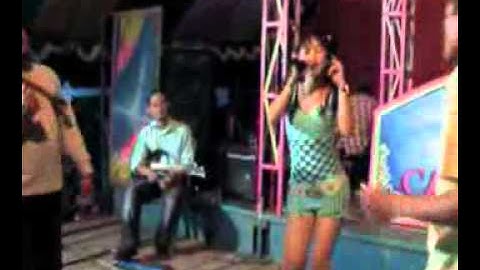 Jalak Putih - Lagu Tarling Dangdut Cakra Buana