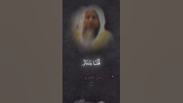 من هذا القارئ ؟