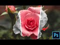 Create stunning posters in minutes! 🔥 Learn the Paper Tear Effect in Photoshop #photoshoptutorial