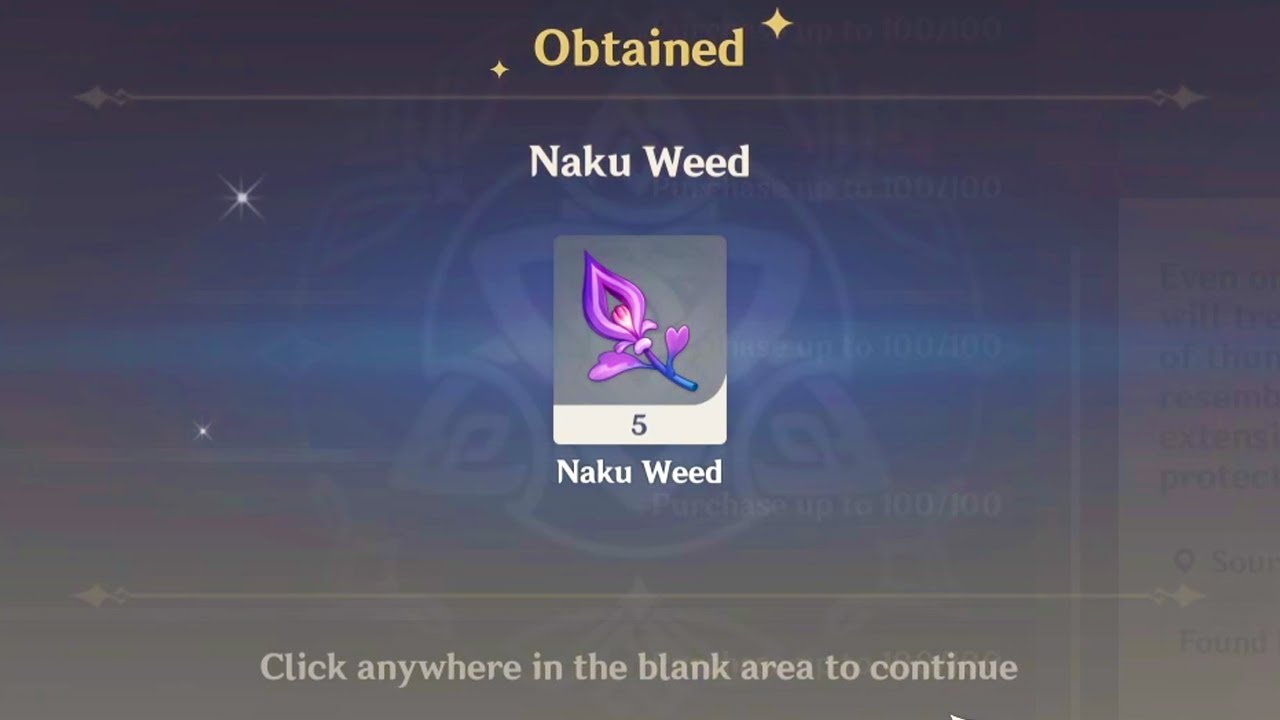 Don't Forget To Buy Naku Weed For Yoimiya To Come Home - Genshin Impact