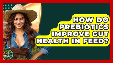 How Do Prebiotics Improve Gut Health In Feed? - The World of Agriculture