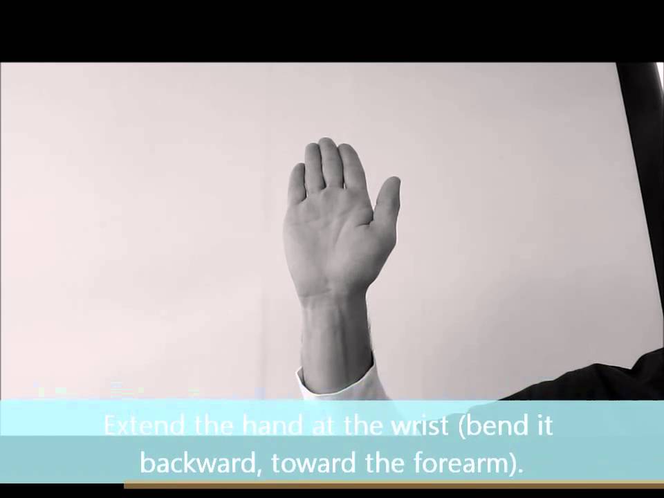 Carpal Tunnel Syndrome Home Physical Therapy Exercises YouTube