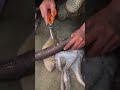Samundar Ka Khazana: Eel Fish, Octopus Aur Colorful Fish Catching &amp; Cleaning