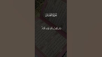 #سورة_التغابن#رعد_الكردي#قرآن #قرآن_كريم #quran #quran_karim