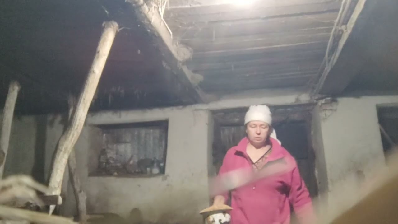 Мої мазунята-козенята і чи можна давати козам жом ?