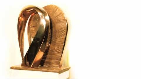 Pavel Medek - plastika