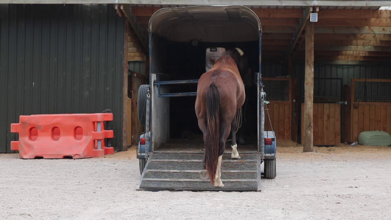 How to teach your horse to go on the ramp - four feet on the ramp - YouTube