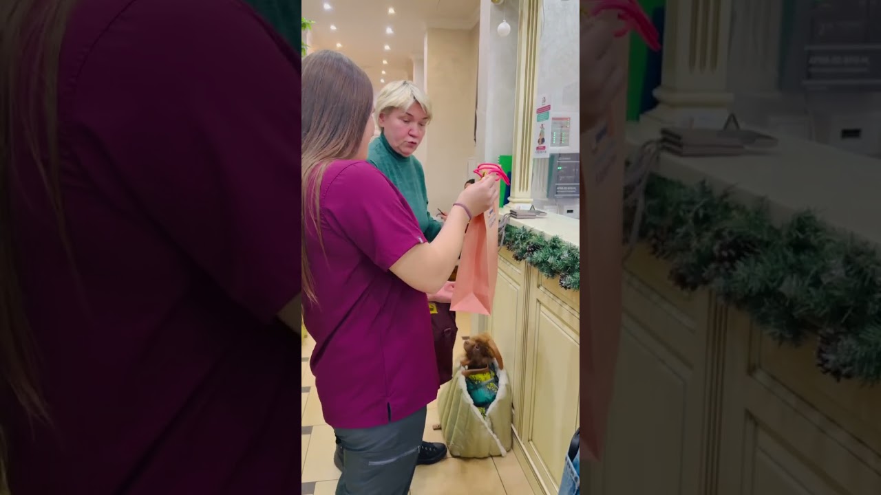 Дарим подарки