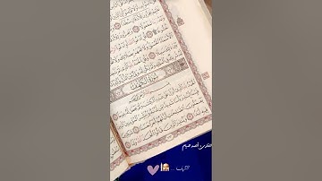 وترى الشمس إذا طلعت ..من سورة الكهف 🤍
