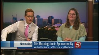 MorningLine: Ask The Vet (October) P.2