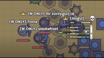 MooMoo.io SANDBOX: The Dynamic Duo