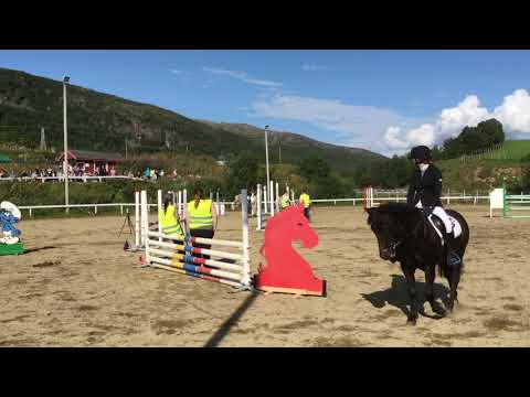 FJORDHEST: sprangstevne Tromsø 18-20.08.17. - YouTube
