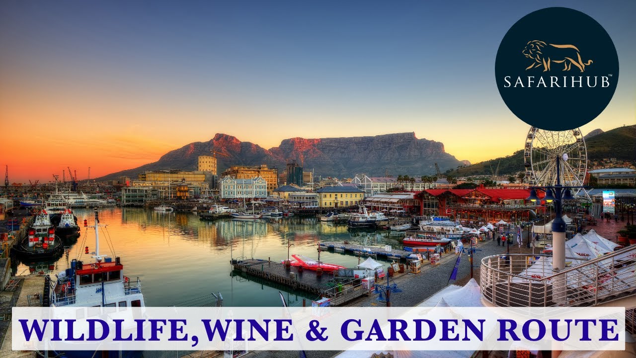 Wildlife, Wine & Garden Route | South Africa Safari Packages | Covid-19 Safe | Safarihub