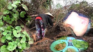 ปลูกเคึ่รองไร่กินลาบเป็ด//ປູກດຄື່ອງໄຮ່ກິນລາບເປັດ