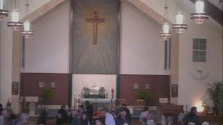 Thirty Third Sunday in Ordinary Time