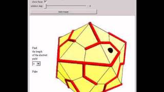 Mazes on Polyhedra