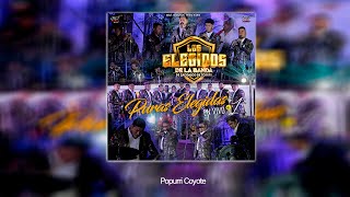 Popurri Coyote - Los Elegidos De La Banda