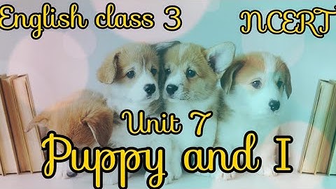 Puppy and I English class 3 | Unit 7 | chapter 13 | NCERT
