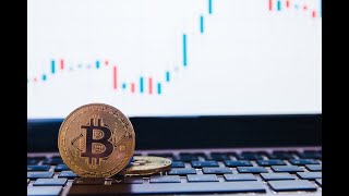 Bitcoin Rises Above USD 41000 for the First Time in Almost Two Weeks