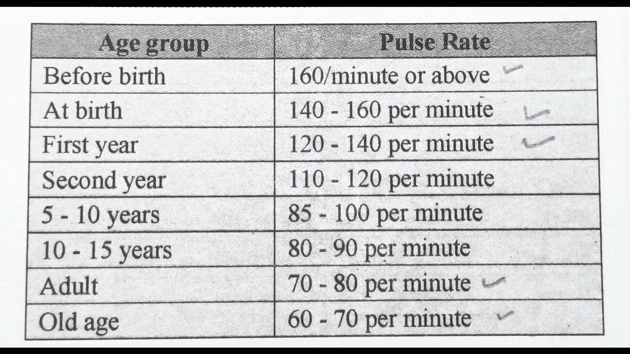PULSE Rate in Different age GROUP nursingcriteria YouTube