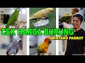 CEK HARGA BURUNG PARUH BENGKOK DI PEDAGANG PARROT