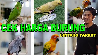 CEK HARGA BURUNG PARUH BENGKOK DI PEDAGANG PARROT