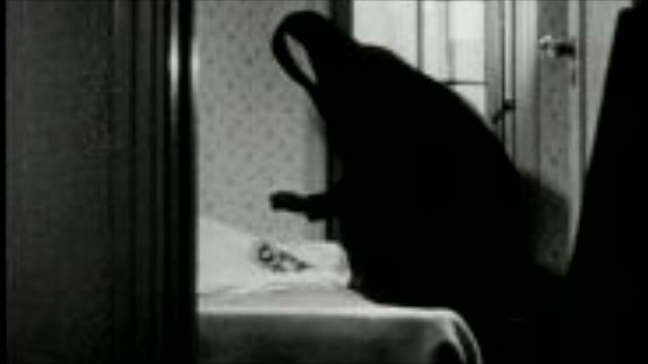 Вороны - YouTube