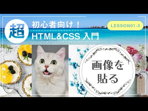 【Lesson01-3】画像を貼る【メモ帳で書く！超初心者向けHTML&CSS入門】