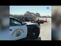 Hundreds of sea lions jam up traffic in Monterey County