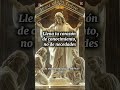 Busca la sabiduría | Proverbios 15:14 #cristianosconfe #biblia