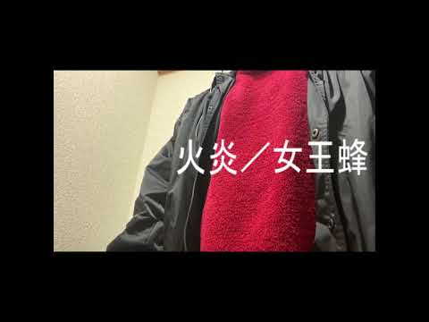 【歌詞付き】火炎／女王蜂を歌ってみた-Covered by 宇治川笙