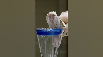 Rắn lục sừng mỗi lần cắn tiết ra bao nhiêu nọc độc #shortvideo #thưgiãn