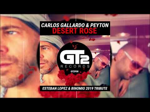 Carlos Gallardo & Peyton - Desert Rose (Esteban Lopez & Binomio Remix 2019 Tribute) - 동영상