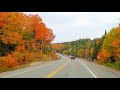 AUTUMN COLORS SCENIC Drive through Algonquin Park Fall Colors