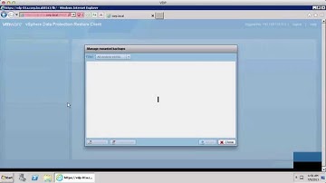 VMware vSphere Data Protection 6.0 - File Level Restore