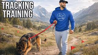 Teach Your Dog Tracking & Scent Detection! (Step by Step Training Guide)